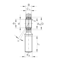 桿端軸承 GAL70-DO-2RS, 根據(jù) DIN ISO 12 240-4 標(biāo)準(zhǔn)，帶左旋外螺紋，需維護(hù)，兩側(cè)唇密封